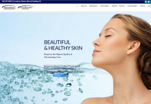 image of MetroDerm home page | Definitive Medical Marketing